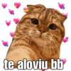 Gatitos amorosos. 9