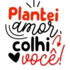 Amor  6