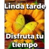 Bonita tarde 12