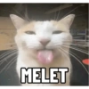 Top Kucing Plenger Meme 10