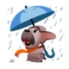 Perro de facebook 20