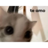 WTF xd 16