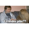 BO Entendes pibe??