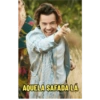 Harry Styles 13