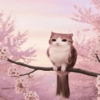 Gatos 8