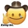 Estoy bn.