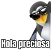 terstock Hola preciosa