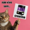 Melhores figurinhas 8