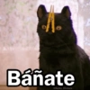 🩷😍Gatitos Con Frases🥴🐈‍⬛ 5