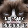 Gatos 9