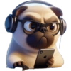 Pug Dogs 14