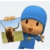 Pocoyo 11