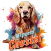 Dia del perro 4 21