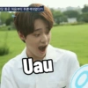Kpop memes 20