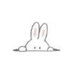 °•Fluffy Bunny•° 9