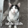 idih-idih