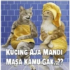 Stiker kucing imut  26
