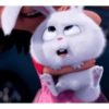 Snowball Rabbit 2 9