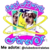 StickerAdoption  6