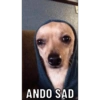ANDO SAD
