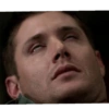 SPN Family 13