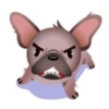 Perro de facebook 23