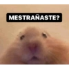 Para contestar 5