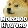 NON VEG MEME DOG 7