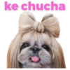 Jajaja 11
