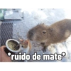 *ruido de mate*
