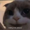 Smile cat ~ 15