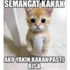 Stiker kucing imut  23