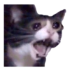 Gatos sad 2 8