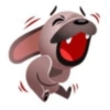 Perro de facebook 22
