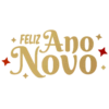 ✨ Feliz Ano Novo ✨ 14