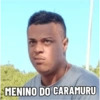 Figurinhas de Uber patureba 24
