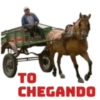 Diversas stickers 17