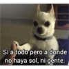 Sí a todo pero a donde no haya sol, ni gente.
