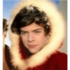 Harry styles memes 18