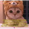 Gatitos para pareja 28