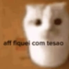 Figurinhas Sapecas 🫣🔥 10