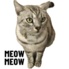 MEOW MEOW