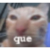 WTF xd 20