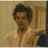 Harry styles memes 22