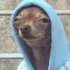 Meme faces 20