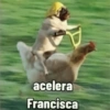 acelera Francisca