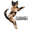 Cat Rulez 18