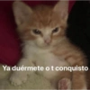 Buenas tardes 14