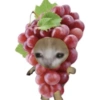 🐈🍓🍉Gatos Frutas🍓🍉🐈 10