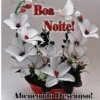 Boa noite 97 14